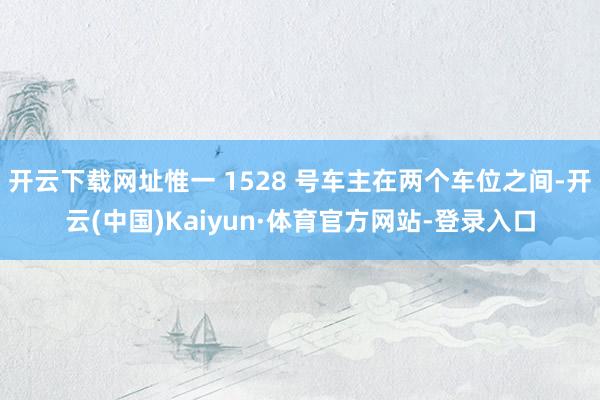 开云下载网址惟一 1528 号车主在两个车位之间-开云(中国)Kaiyun·体育官方网站-登录入口