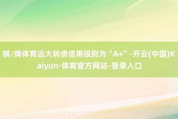 棋/牌体育远大转债信用级别为“A+”-开云(中国)Kaiyun·体育官方网站-登录入口