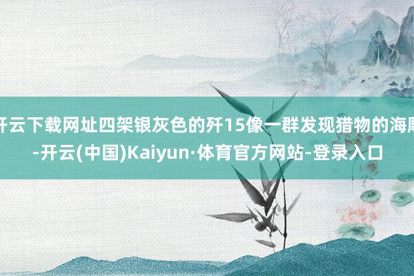 开云下载网址四架银灰色的歼15像一群发现猎物的海雕-开云(中国)Kaiyun·体育官方网站-登录入口