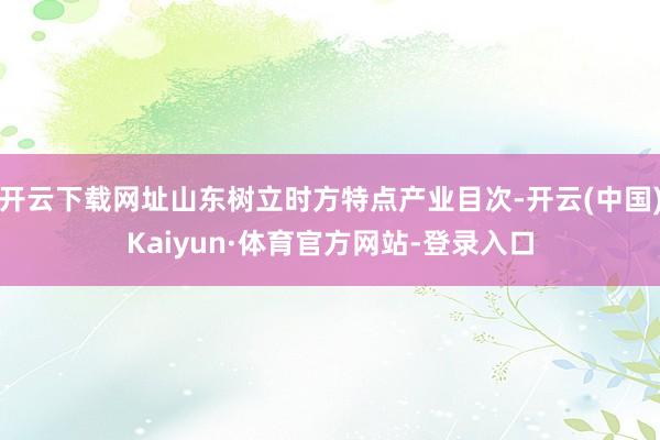 开云下载网址山东树立时方特点产业目次-开云(中国)Kaiyun·体育官方网站-登录入口